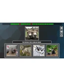 Repeat the image: Animals Steam КЛЮЧ GLOBAL Repeat the image: Animals Steam КЛЮЧ GLOBAL