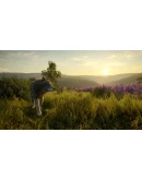 theHunter: Call of the Wild - Cuatro Colinas Game Res theHunter: Call of the Wild - Cuatro Colinas Game Res