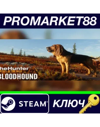 theHunter: Call of the Wild - Bloodhound DLC EU Steam theHunter: Call of the Wild - Bloodhound DLC EU Steam