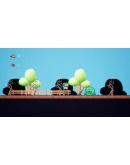 Plattis Steam КЛЮЧ GLOBAL Plattis Steam КЛЮЧ GLOBAL