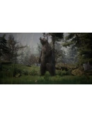 Artemishea&nbsp Steam КЛЮЧ GLOBAL