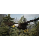 Artemishea&nbsp Steam КЛЮЧ GLOBAL