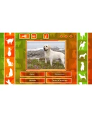 JQ: dogs & cats Steam КЛЮЧ GLOBAL JQ: dogs & cats Steam КЛЮЧ GLOBAL