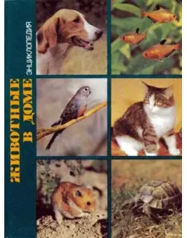 Животные в доме. Энциклопедия + БОНУС