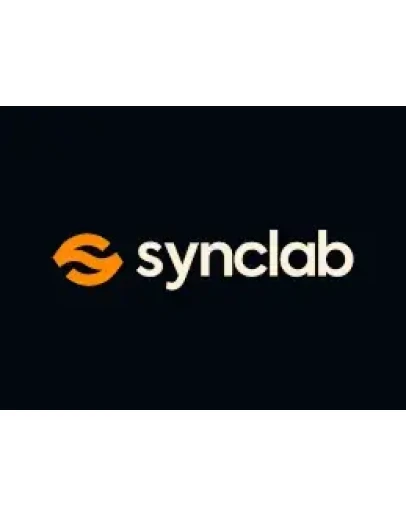 Подписка на аккаунт создателя Synclabs на 1 месяц