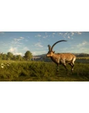 theHunter: Call of the Wild - Cuatro Colinas Game Res