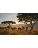 theHunter: Call of the Wild - Vurhonga Savanna DLC EU theHunter: Call of the Wild - Vurhonga Savanna DLC EU