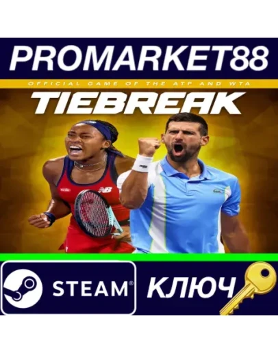 TIEBREAK: Official game of the ATP and WTA EU Steam К