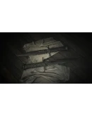 Hunt: Showdown 1896 - Ghost Face Rampage DLC Steam КЛ Hunt: Showdown 1896 - Ghost Face Rampage DLC Steam КЛ