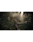 Kingdom Come: Deliverance II (Steam key) RU CIS