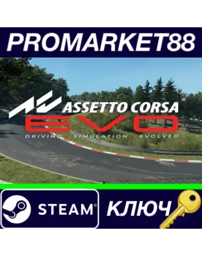 Assetto Corsa EVO Steam КЛЮЧ GLOBAL