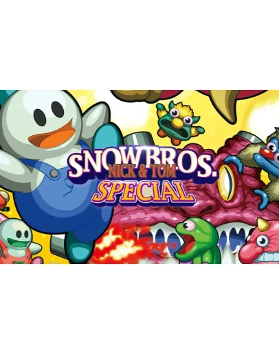 Snow Bros Special Anniversary Edition (steam key)