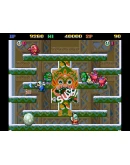 Snow Bros Special Anniversary Edition (steam key)