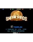 Snow Bros Special Anniversary Edition (steam key)