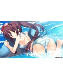 Princess Evangile W Happiness Steam Edition Steam КЛЮ