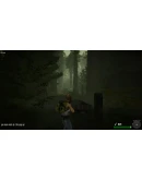 Jane Westlake Adventures: The Mystery Train Steam КЛЮ