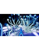 Oceanarium Steam КЛЮЧ EU+US