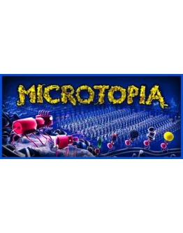Microtopia * STEAM РОССИЯ АВТОДОСТАВКА 0 КАРТЫ