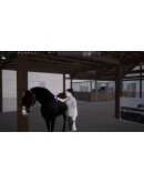 Unbridled: That Horse Game АВТОДОСТАВКА STEAM РОССИЯ