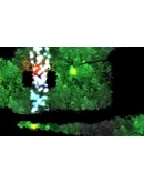 Grimind Steam КЛЮЧ GLOBAL Grimind Steam КЛЮЧ GLOBAL