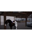 ВСЕ СТРАНЫ+РОССИЯ Unbridled: That Horse Game STEAM