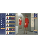ВСЕ СТРАНЫ+РОССИЯ Cabin Crew Life Simulator STEAM ВСЕ СТРАНЫ+РОССИЯ Cabin Crew Life Simulator STEAM