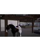 Unbridled: That Horse GameSTEAM GIFT AUTORU+МИР Unbridled: That Horse GameSTEAM GIFT AUTORU+МИР