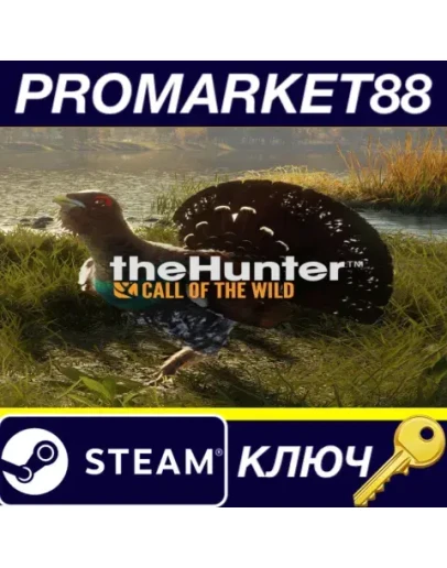 theHunter: Call of the Wild - Revontuli Coast DLC Ste theHunter: Call of the Wild - Revontuli Coast DLC Ste