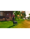 The Witch of Fern Island Steam КЛЮЧ GLOBAL