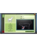 Animal Shelter - Vet Clinic DLC Steam КЛЮЧ GLOBAL