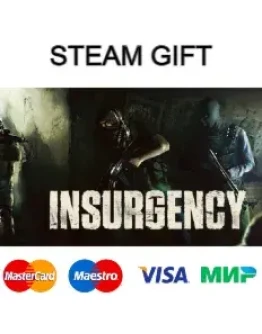 Insurgency steam gift RU