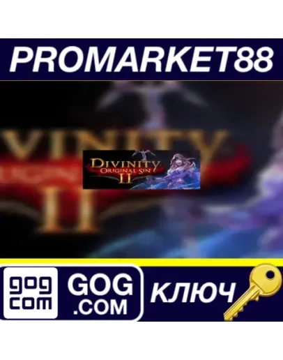 Divinity: Original Sin 2 GOG КЛЮЧ GLOBAL