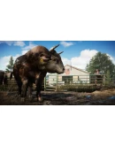 Far Cry 5 Gold Edition EMEA Ubisoft Connect КЛЮЧ