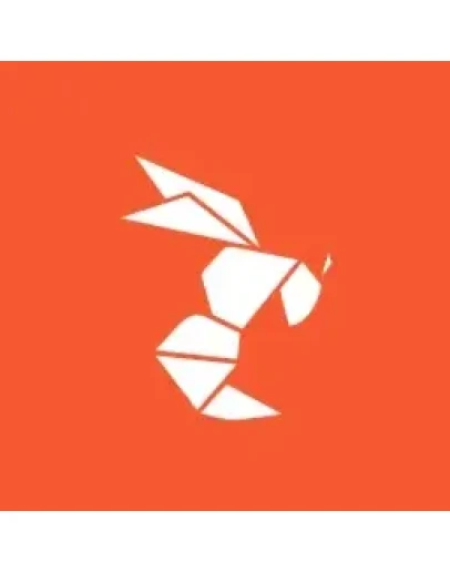 Hornet Premium 3/6/12 месяцев