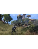 The Elder Scrolls Online: Morrowind Upgrade + The Dis