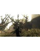 Risen 1 Steam Ключ РФ+Мир +Бонус