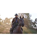 Red Dead Redemption 2 - Story Mode and Ultimate Editi