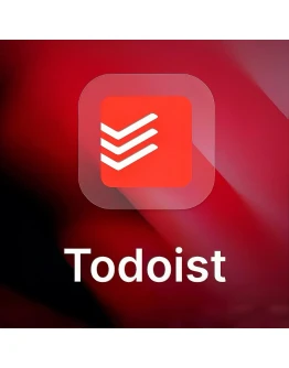 Todoist PRO 1/12 Месяца ПОДПИСКА НА ВАШ АККАУНТ
