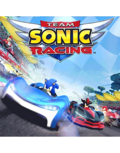 Team Sonic RacingPS4ПСНPLAYSTATION