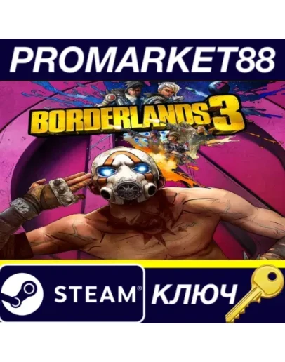 Borderlands 3 US Steam КЛЮЧ США