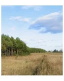 Отдых для души. Отдых для души.