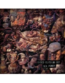 Disco Elysium - The Final Cut Bundle Steam КЛЮЧ GLOB Disco Elysium - The Final Cut Bundle Steam КЛЮЧ GLOB