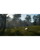 theHunter: Call of the Wild - Te Awaroa National Park theHunter: Call of the Wild - Te Awaroa National Park