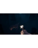 Ship Of Mist Steam КЛЮЧ GLOBAL