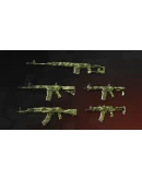 Deadside: Guerilla Skin Set XBOXКуплю на Ваш акк