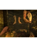 Amnesia Collection Steam КЛЮЧ GLOBAL
