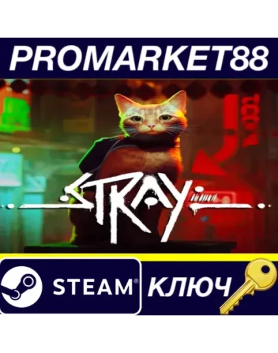 Stray Steam КЛЮЧ ЕВРОПА Stray Steam КЛЮЧ ЕВРОПА