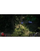 Path of Exile 2 - Early Access Supporter Pack Steam А Path of Exile 2 - Early Access Supporter Pack Steam А