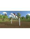 My Little Riding Champion Steam КЛЮЧ GLOBAL My Little Riding Champion Steam КЛЮЧ GLOBAL