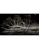 Samorost 3 Cosmic Edition Steam КЛЮЧ GLOBAL